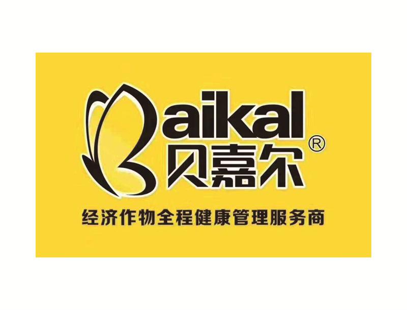 168廣西貝嘉爾