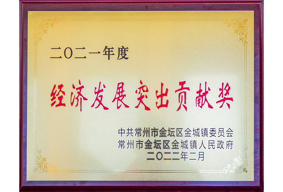經濟發(fā)展突出貢獻獎